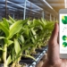 Food provenance platform set to boost SA beef supply chain
