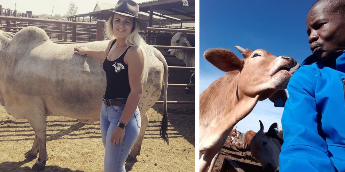North West cattle farmers Salomè Scholtz and Letlhogonolo Phetlhane. Photos: Supplied