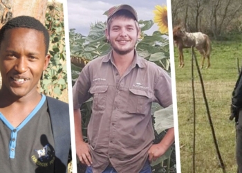 Farm attacks: A dangerous melting pot of violence and opportunity