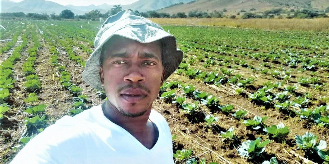 Bongani Zulu is a daredevil entrepreneur who learned a very valuable lesson when he planted 30 000 heads of cabbages with no real market in place. Photo: Supplied.