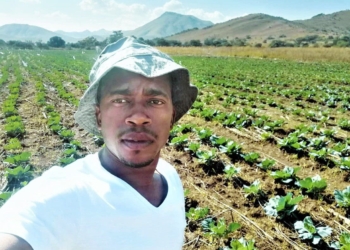 Bongani Zulu is a daredevil entrepreneur who learned a very valuable lesson when he planted 30 000 heads of cabbages with no real market in place. Photo: Supplied.