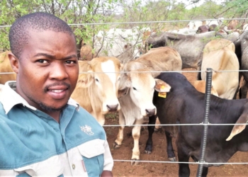 Tumisang Matshogo from North West had it difficult growing up, but today he runs and owns two farming business while doing his PhD degree in animal science. Photo: Supplied/Food For Mzansi