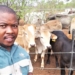 Tumisang Matshogo from North West had it difficult growing up, but today he runs and owns two farming business while doing his PhD degree in animal science. Photo: Supplied/Food For Mzansi