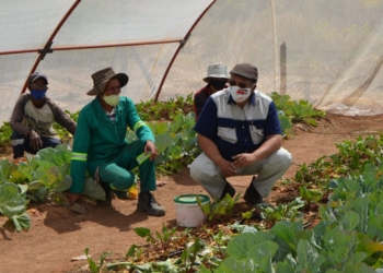 Western Cape minister of agriculture, Dr Ivan Meyer, visited several vegetable garden projects in the Namaqualand region of the Western Cape. Photo: Supplied