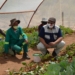 Western Cape minister of agriculture, Dr Ivan Meyer, visited several vegetable garden projects in the Namaqualand region of the Western Cape. Photo: Supplied