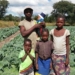 AgricultSURE has, through the years, empowered many small-scale farmers and their families, such as this cabbage farmer on the banks of the Zambezi River in Sesheke, Zambia. Photo: Supplied
