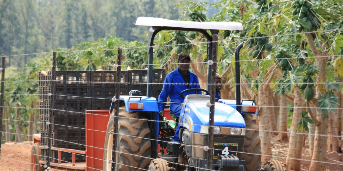 The Vumelana Advisory Fund helps communities in the land reform programme to develop their land. It also funds advisory services to structure commercially viable partnerships between communities and investors that create jobs, income and skills. Photo: Supplied