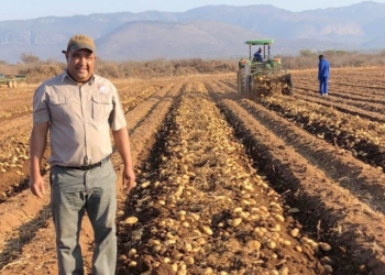 It is hard to ignore the call to farm when your great-great-great-great grandfather was a renegade on the frontier, says Aldrin Lawrence, Potatoes SA’s Enterprise Development Farmer for 2022. Photo: Supplied/Food For Mzansi