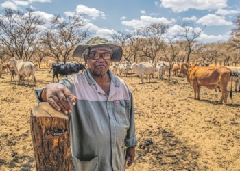"How can they advertise a portion of my farm when they know very well that I got the farm from them?" asks David Rakgase, an 80-year-old Limpopo farmer. Photo: www.da.org.za