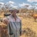 "How can they advertise a portion of my farm when they know very well that I got the farm from them?" asks David Rakgase, an 80-year-old Limpopo farmer. Photo: www.da.org.za