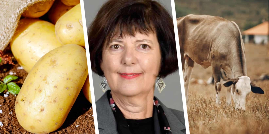 Pictured: Barbara Creecy, the minister of fisheries, forestry and the environment. Photo: Supplied.