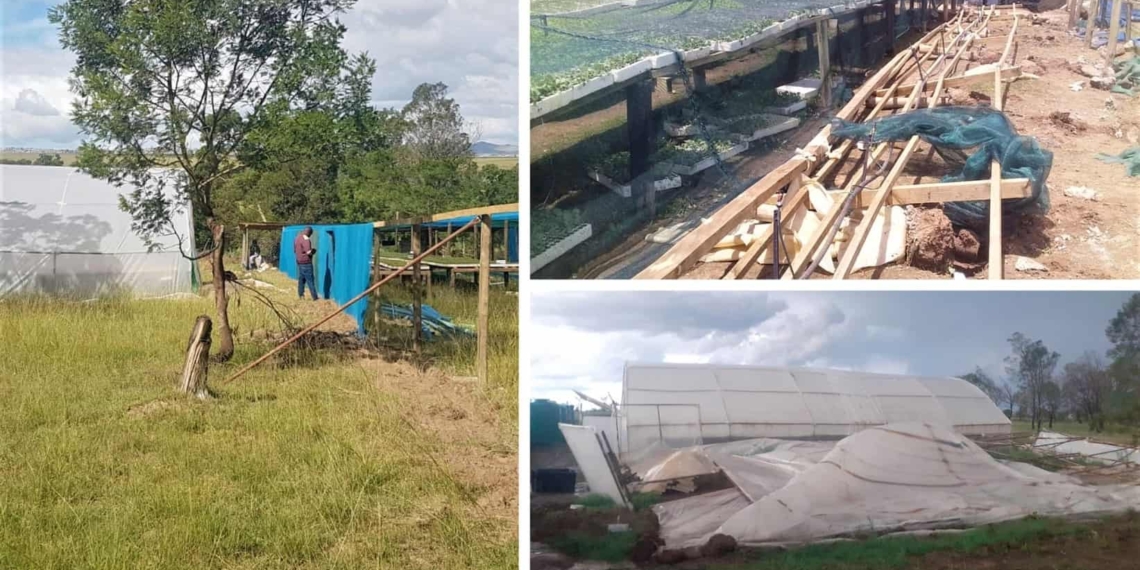 The aftermath of the devastating tornado which ripped through parts of the Eastern Cape could hold more severe consequences, agri leaders think. Photo: Supplied.