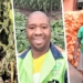 Born with a leg deformity, 44-year-old Avhapfani “Chillyboy” Rathando always knew that he would live a spectacular life. Today, he runs two successful farming enterprises and wants to inspire others living with a living a disability. Photo: Supplied.