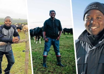 Tshilidzi Matshidzula admired by MPO Nedbank Stewardship Awards for his excellent farm management practices and attention to detail. Photo: Supplied.