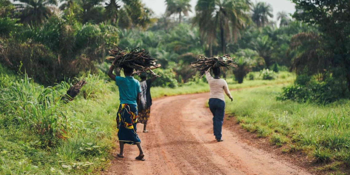 Women migrant workers are extremely vulnerable to gender abuse on farms, warns the NGO Women on Farms. Photo: Supplied