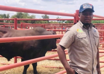 Olerile Lekgetho, a livestock and vegetable farmer from Taung in North West. Photo: Supplied/Food For Mzansi