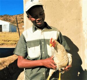 Masimbonge pictured with one of his chickens. 