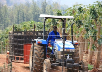 The Mamahlola Communal Property Association was among the first to be established in 2000, but due to underinvestment, their land soon turned into a symbol of government’s land restoration failure. Photo: Supplied/Food For Mzansi