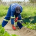By increasing the national minimum wage above inflation will lead to the job losses for farmworkers, driving them into poverty, warns Agri SA. Photo: Supplied/Food For Mzansi