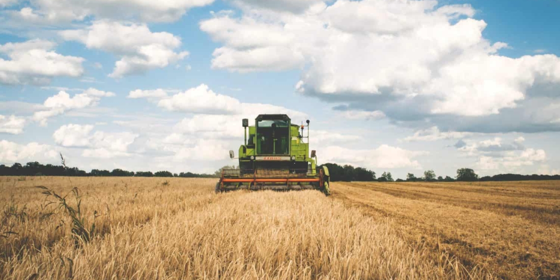 There is positivity in the air for the next season, with another great crop year looking likely.
