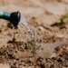 Agricultural leaders are calling on smallholder farmers to regard insurance as a vital component of their business. Photo: Pexels.