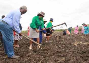 KZN farmers get huge boost to mass produce food