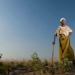 Land reform