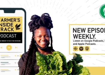 27-year-old Cape Town agripreneur,  Ncumisa Mkabile.  Photo: Supplied