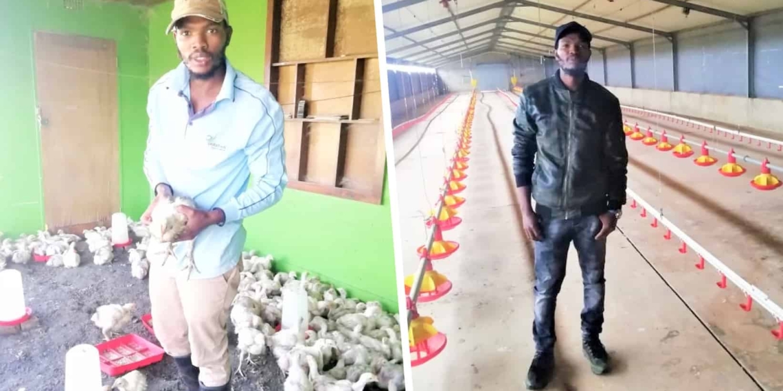 29-year-old poultry farmer, Seabi Maleka, gave his dream of being a farmer a chance and has never looked back since. Photo: Supplied.