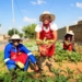 Participants in the Sgangala food garden project, including Mpho Shasha, Thabiso Maphike and Muzi Vezi