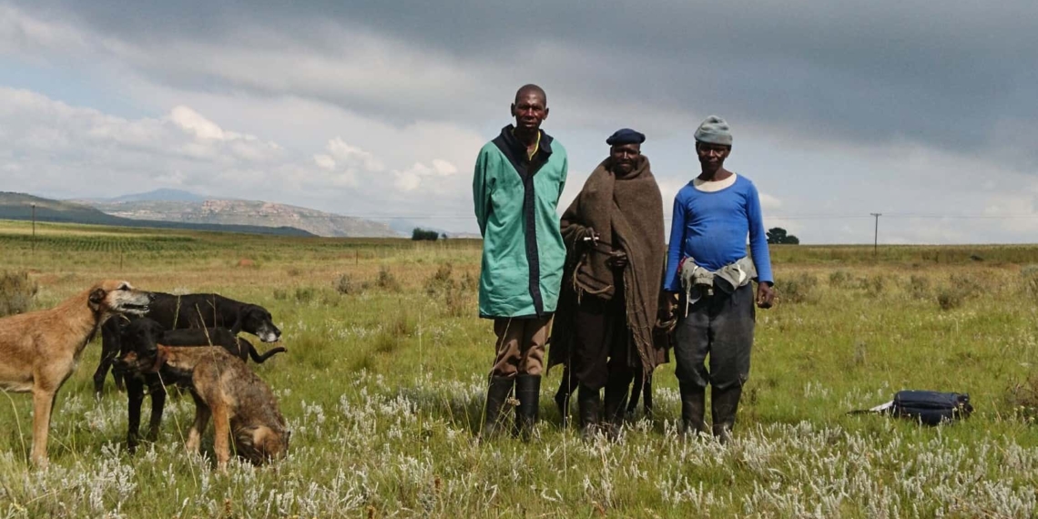 Farm workers pictured earlier in the eastern Free State. Photo: PLAAS.org.za