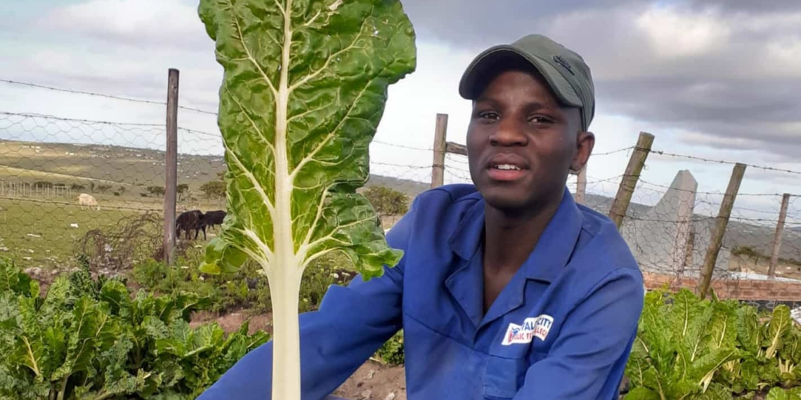 Nkosinathi Makamela is a young man took his first steps into small-scale farming, but he has big dreams to become a commercial farmer in the future. Photo: Supplied/Food For Mzansi