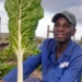 Mzansi farmers share their dreams for 2021