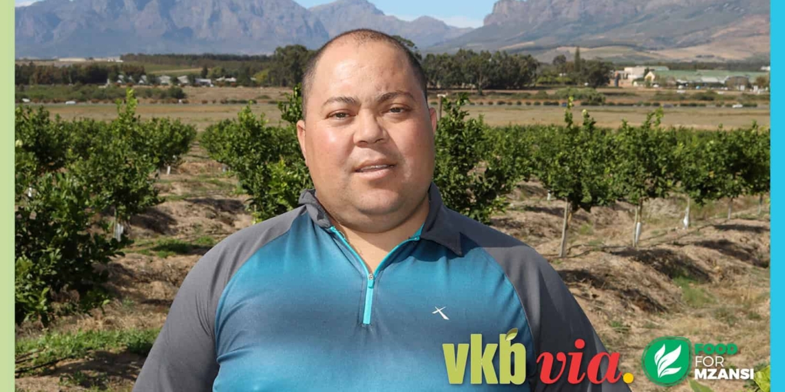 For years Wayne Mansfield worked as a fruit hawker selling grapes. Today, he is an award-wining farmer and shares his journey into agriculture on this week's episode of Vir die liefde van die land (For the love of the land). Photo: Supplied.