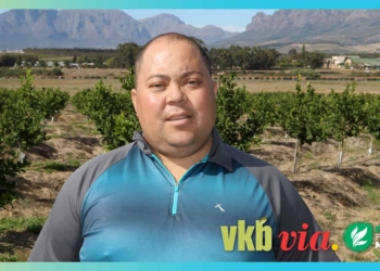 For years Wayne Mansfield worked as a fruit hawker selling grapes. Today, he is an award-wining farmer and shares his journey into agriculture on this week's episode of Vir die liefde van die land (For the love of the land). Photo: Supplied.