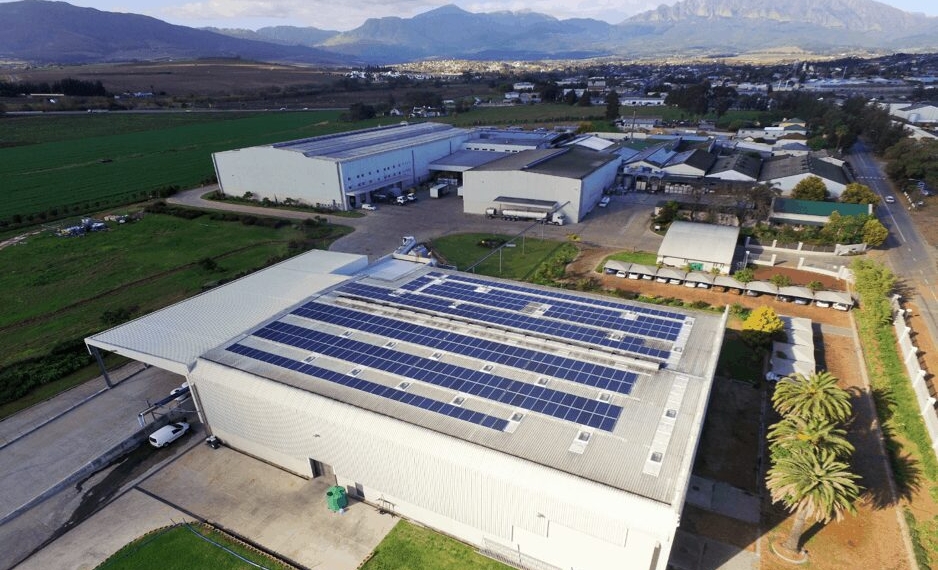 Solar panels at DGB’s production plant in Wellington in the Western Cape. Photo: Supplied