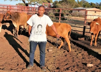31-year-old Dikabelo Petrose believes if that in order for farmers to be able to expand, create jobs and feed the nation, their farming methods need to change. Photo: Supplied.