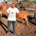 31-year-old Dikabelo Petrose believes if that in order for farmers to be able to expand, create jobs and feed the nation, their farming methods need to change. Photo: Supplied.