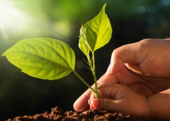 Agbiz/IDC Agribusiness Confidence Index rebounds in Q4, 2021. Photo: Supplied