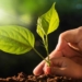 Agbiz/IDC Agribusiness Confidence Index rebounds in Q4, 2021. Photo: Supplied