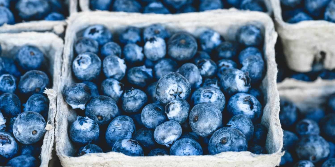 Berries ZA has launched its first trade-focused campaign in Germany. Photo: Supplied/Pexels