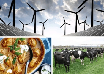 Agriculturists today join in the National Curried Chicken Day celebrations. Also, farmers from across the globe are attending webinars on pasture management for limited-resources farmers and renewable energy in agriculture. Photos: Supplied