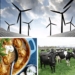 Agriculturists today join in the National Curried Chicken Day celebrations. Also, farmers from across the globe are attending webinars on pasture management for limited-resources farmers and renewable energy in agriculture. Photos: Supplied