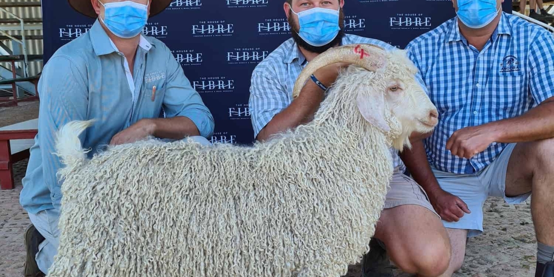 Pictured at the recent Angora Veldram auction in Jansenville in the Eastern Cape was auctioneer André van Zyl, Chris Curtain from House of Fibre and Roelfie van der Merwe, a ram breeder from Aberdeen. Photo: Supplied
