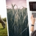 agriculture news