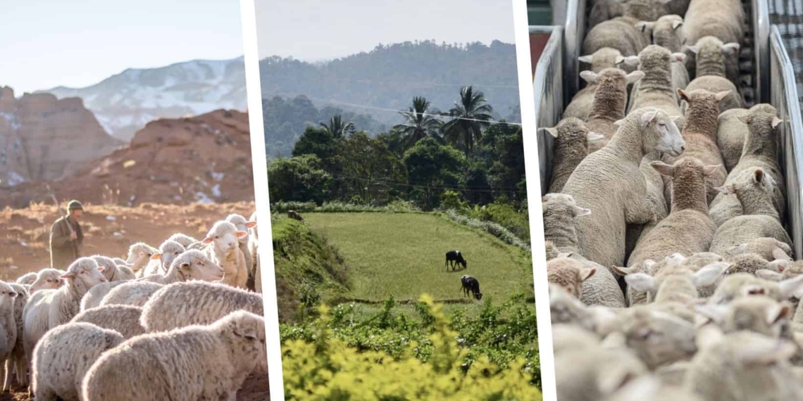 agricultural news