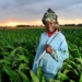 Food insecurity: African farmers are not ageing out of the sector.