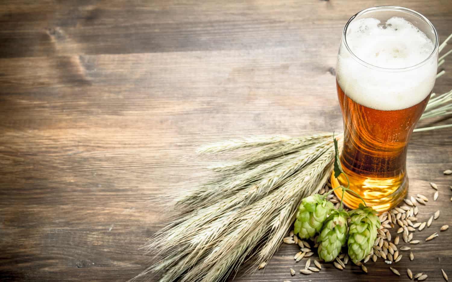 Craft beer is dead, and government killed it Food For Mzansi