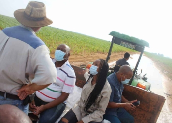 Free State MEC for agriculture and rural development William Bulwane during a site-visit to some of the Bultfontein farms damaged by heavy rains. He was accompanied by Tankiso Matsholo, mayor of the Tswelopele Local Municipality, and councillor Motsabinyana Raseu. Photo: Supplied