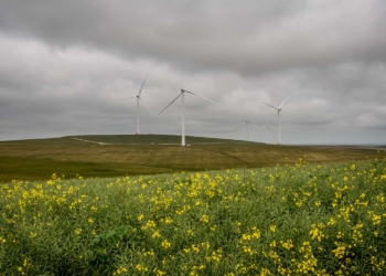 Excelsior, a brand-new wind farm in Swellendam in the Western Cape has started its operations, adding new clean power to the country’s grid. Photo: Supplied